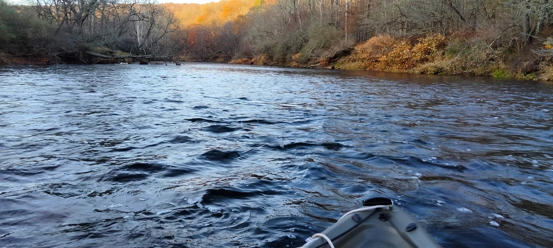 RiveroftheYear.jpg